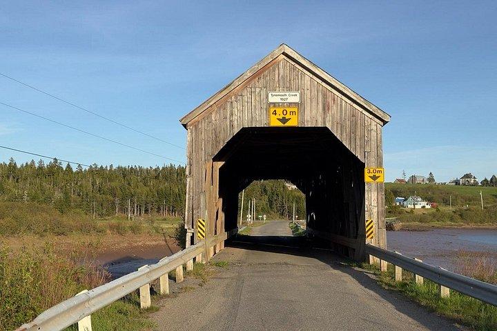 Flyrejser til Fundy Shore med bus