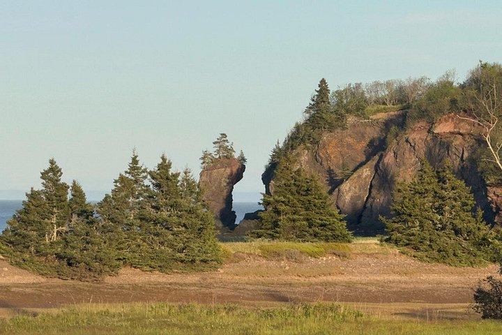 Flyrejser til Fundy Shore med bus