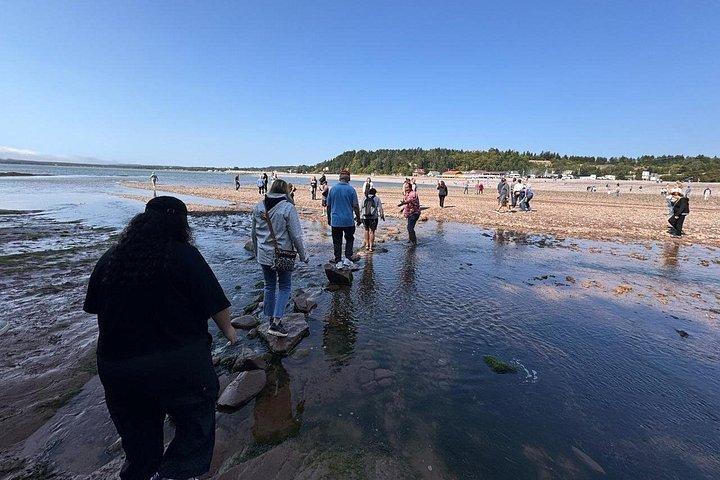 Flyrejser til Fundy Shore med bus