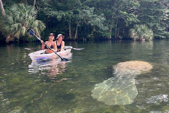 Hotéis próximos a: Chassahowitzka River Clear Kayak Springs & Manatee Tours