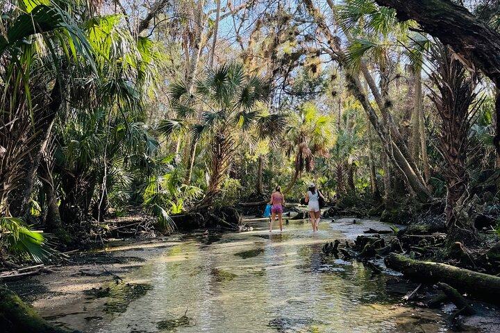 Chassahowitzka River Clear Kayak Springs & Manatee Tours