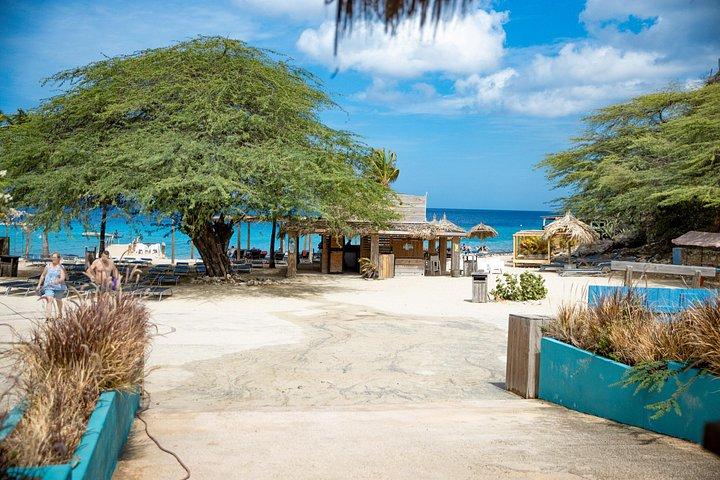 UTV BUGGY Tour with Beach Stop in Willemstad Curacao