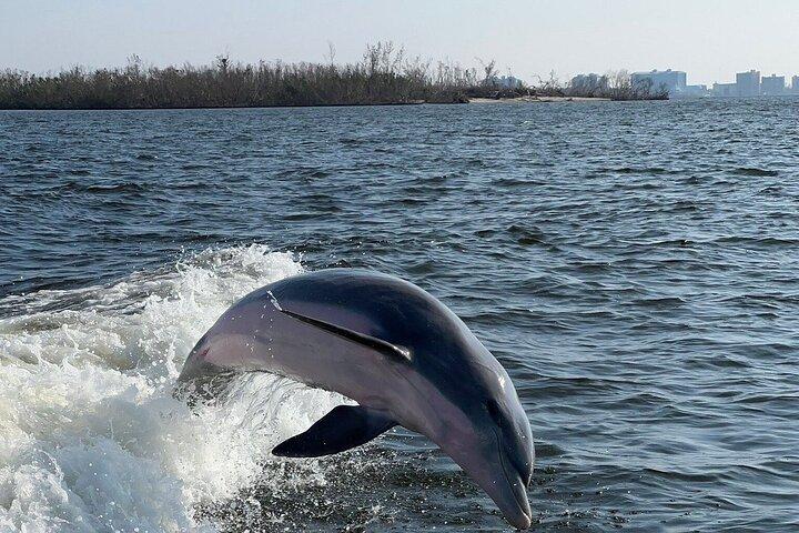 サニベル島灯台のプライベートボートツアー