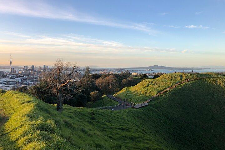 Visite privée d'Auckland