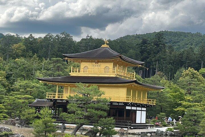 Japan 7 Days Tour