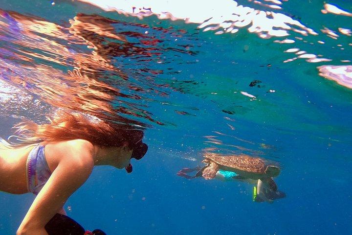 マラワーフ・ラハイナジェットスクーターシュノーケリング小グループ写真付き
