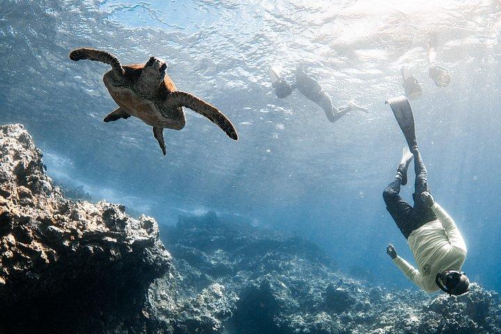 マラワーフ・ラハイナジェットスクーターシュノーケリング小グループ写真付き