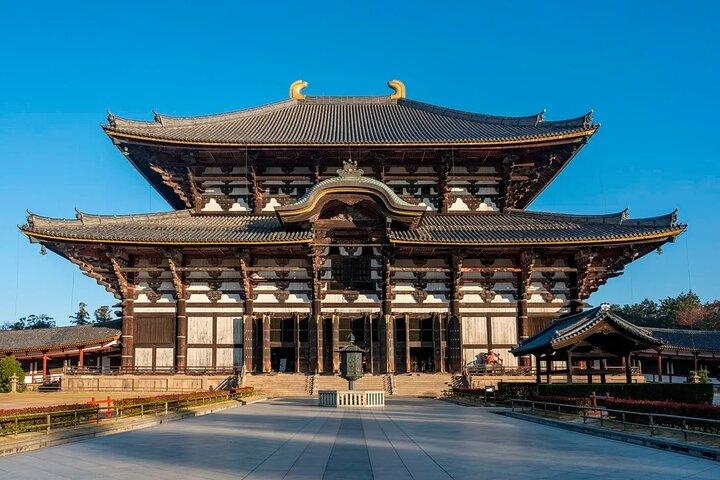 Nara Nachmittagsführung ab Osaka oder Kyoto