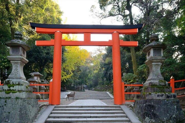Visita guiada por la tarde de Nara desde Osaka o Kyoto