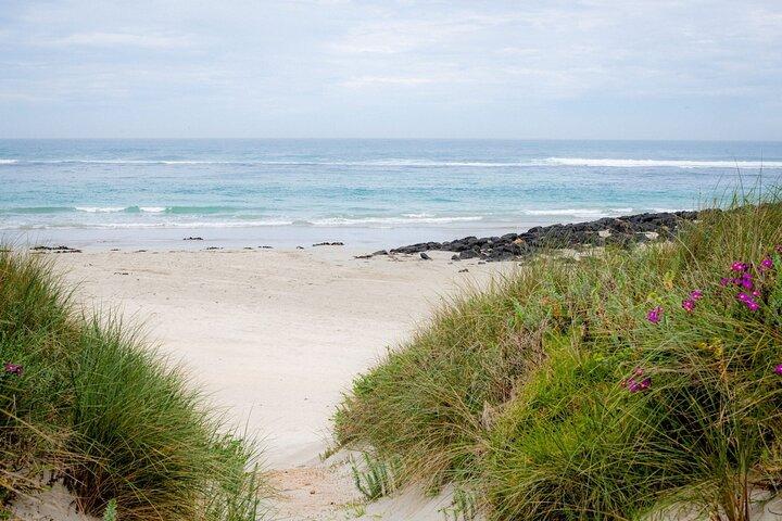 Great Ocean Road e 12 Apóstolos
