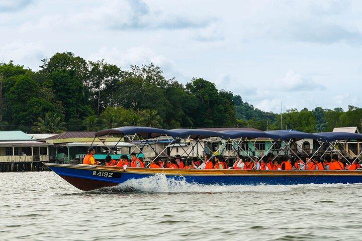 Safari en Brunei Mangrove River