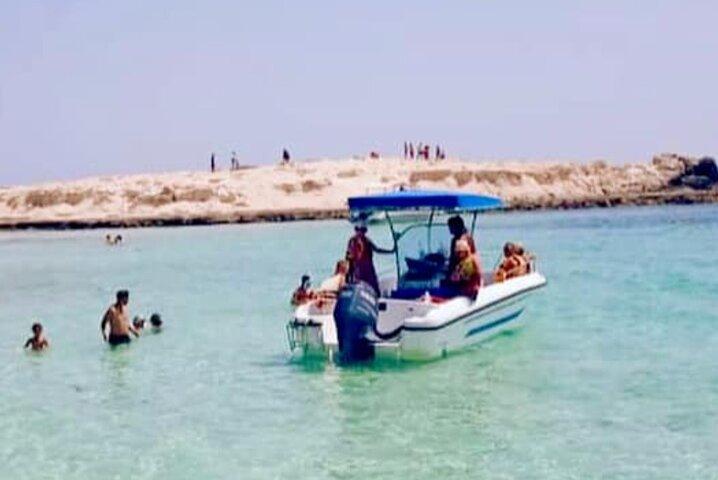 水泳とイルカウォッチング付きの1.5時間の海上旅行