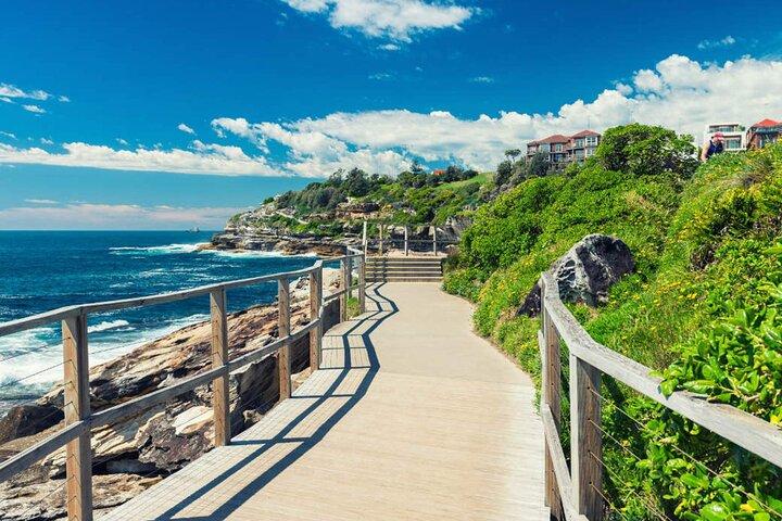 Bondi naar Coogee Begeleide Kustwandeling met Lunch