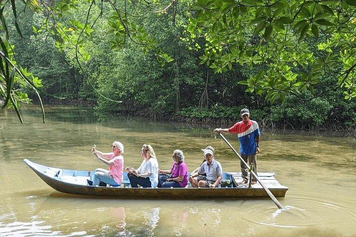 Small-Group Tour to Can Gio Vam Sat Mangrove Forest