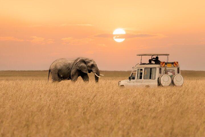 Kenia en Tanzania Expeditie Safari Tour