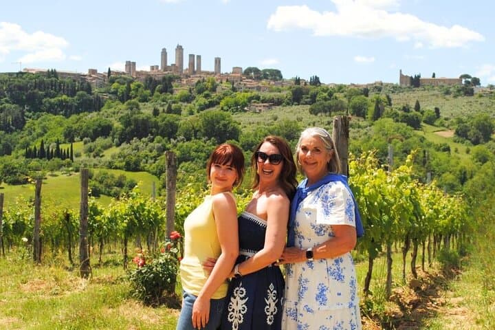 Tuscany Wine Tour: 2 Wineries & San Gimignano from Rome
