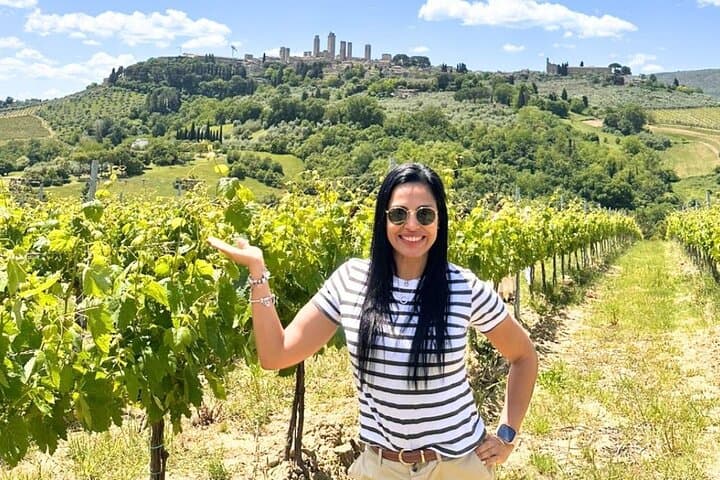 Tuscany Wine Tour: 2 Wineries & San Gimignano from Rome