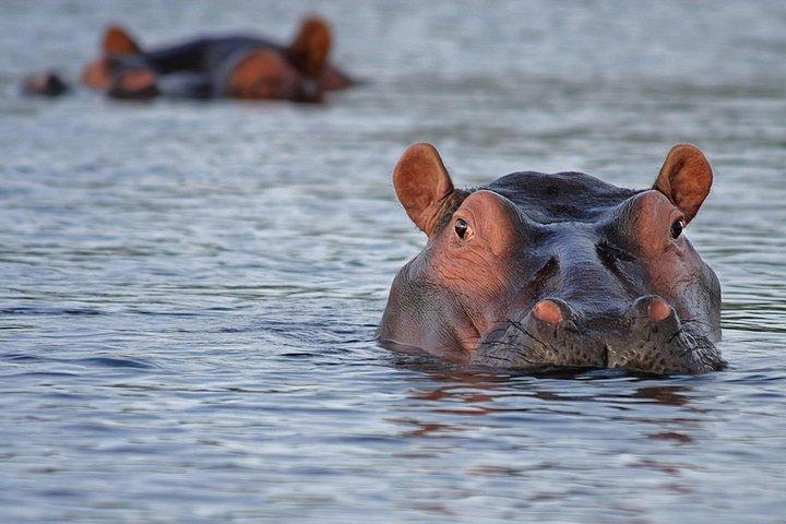 ケニア・タンザニア探検サファリツアー