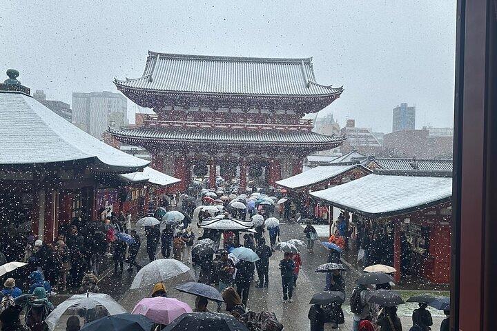 Tokyo Sightseeing / Stadstour met privéauto met Engelse Gids