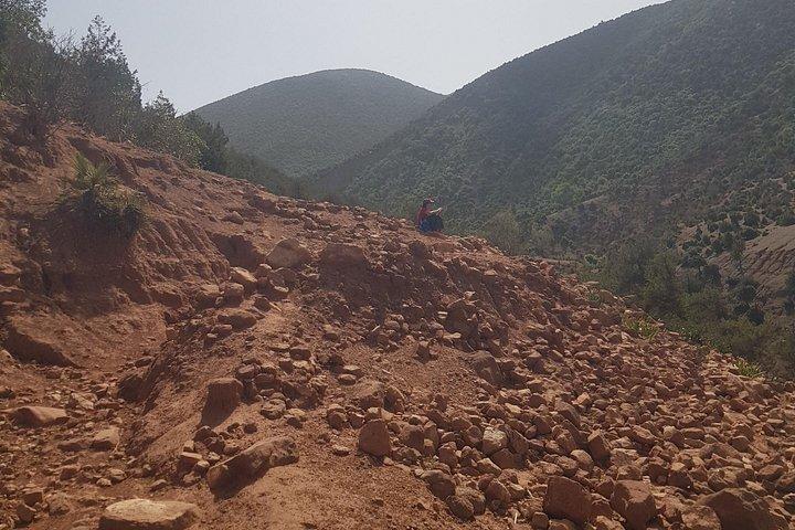 マラケチェ・アトラス山脈からの日帰りツアー。ラクダ乗り付き。