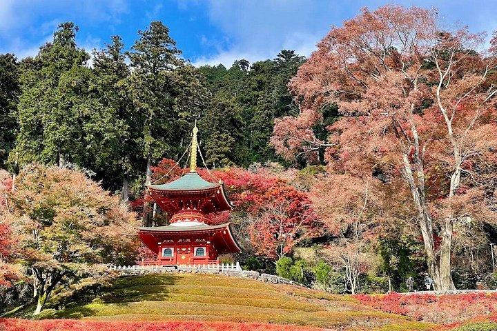 大阪/京都： 勝王子・嵐山・金閣寺日帰りツアー