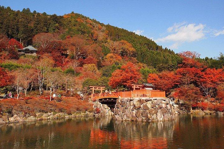 大阪/京都： 勝王子・嵐山・金閣寺日帰りツアー