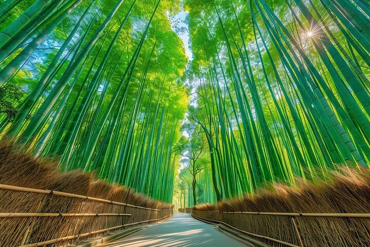 Osaka / Kyoto: Excursion d'une journée à Katsuoji, Arashiyama et Kinkaku-ji