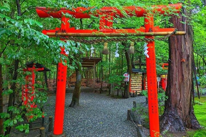 大阪/京都： 勝王子・嵐山・金閣寺日帰りツアー