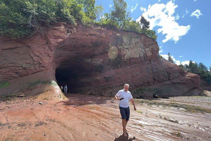 Bay Of Fundy Guided Tour