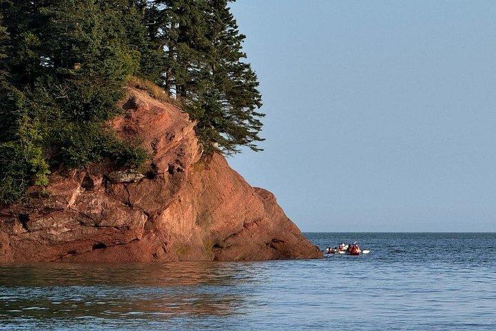 Bay Of Fundy Guided Tour