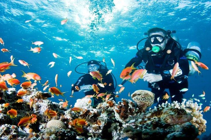 ケメル島アンタルヤ発地中海ダイビングアドベンチャー