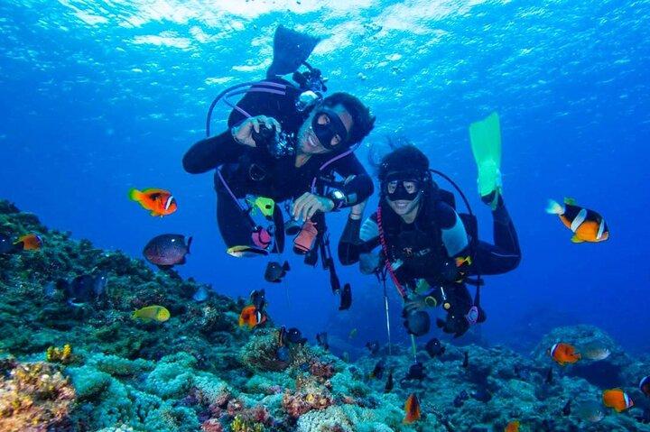 Mediterranean Diving Adventure from Antalya, Kemer