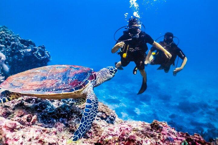 Mediterranean Diving Adventure from Antalya, Kemer
