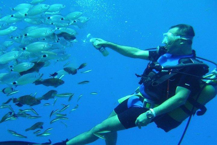 Mediterranean Diving Adventure from Antalya, Kemer