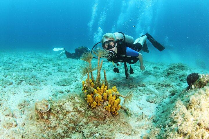Oplev Chania Underwater – 2 nemme dykker med gratis billeder og afhentning