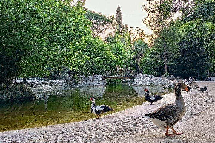 Pilates & Calisthenics all'alba al Giardino Nazionale