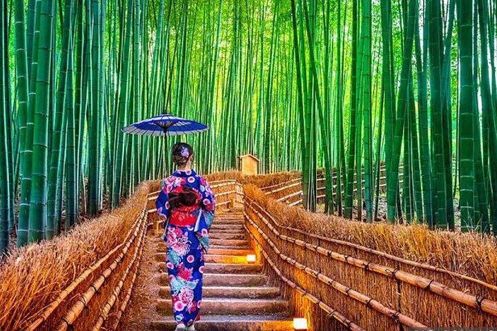 De Osaka/Kyoto: Private Kyoto & Nara Day Trip com Pickup