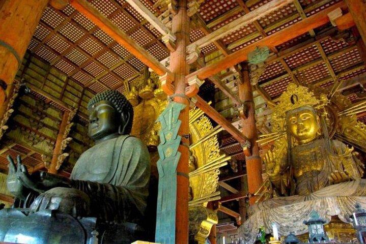 De Osaka/Kyoto: Private Kyoto & Nara Day Trip com Pickup