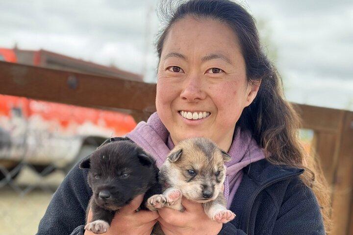 Anchorage's Authentic Dog Sledding Experiência