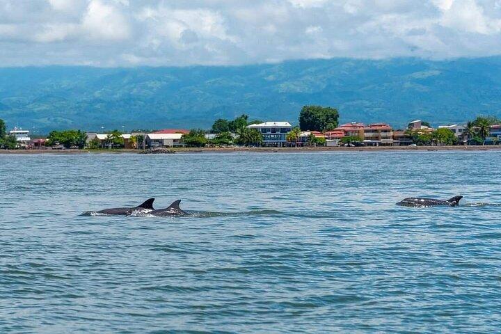 プンタレナス発トルトゥーガ島、シュノーケリングとランチ付き！