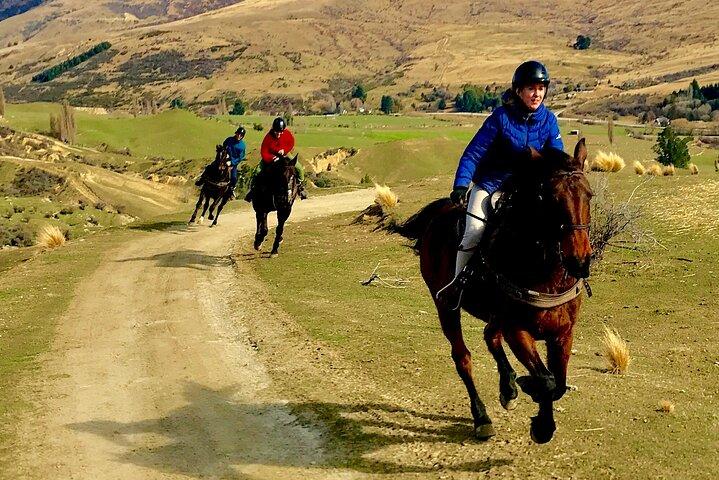 Cardrona High Country Pub Trail Horse Trek (Intermediate level+)