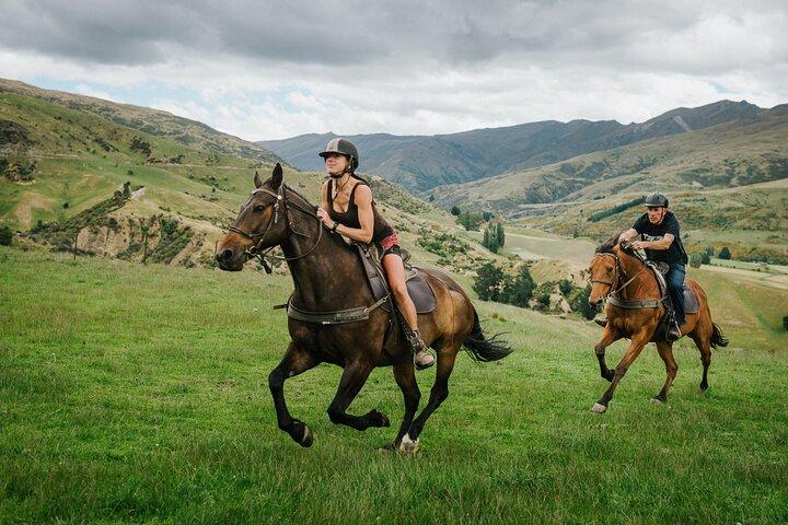Cardrona High Country Pub Trail Horse Trek (Intermediate level+)
