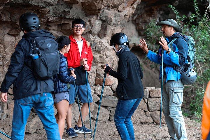 アナガ山脈と魅惑の森、テネリフェハイキングツアー