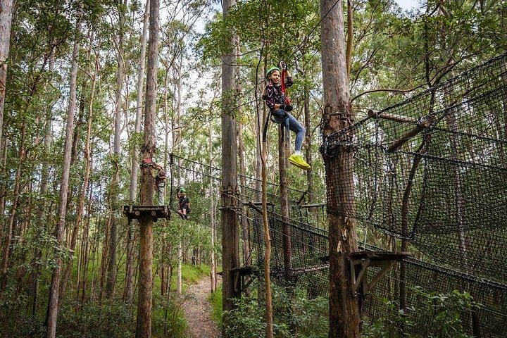 High Ropes and Zipline Adventure - Adrenaline Pass
