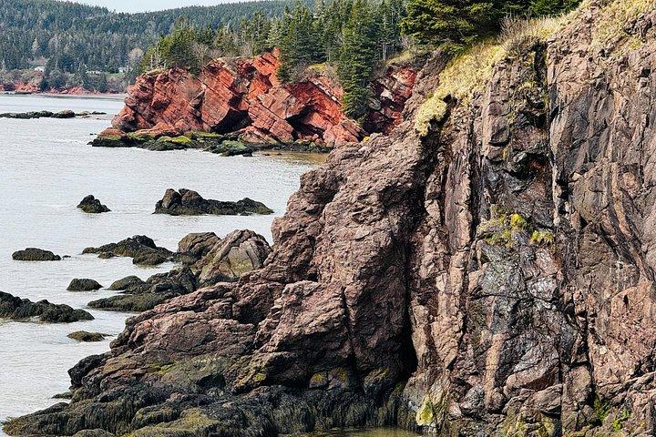 Bay Of Fundy Guided Tour