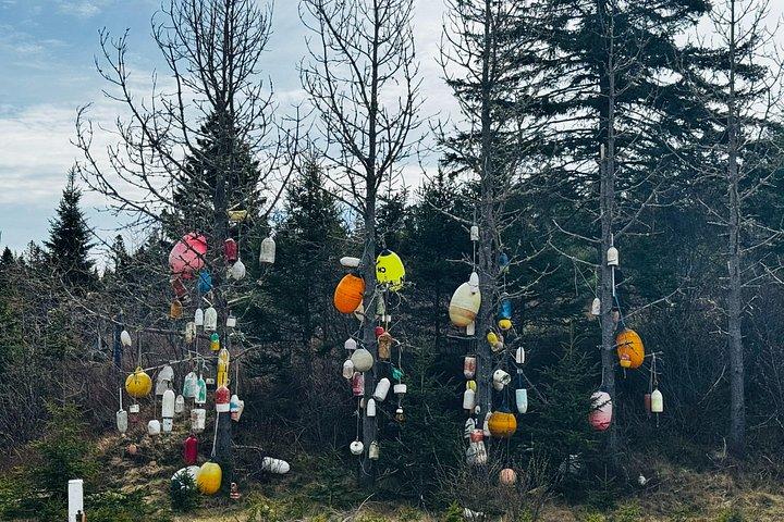 Bay Of Fundy Guided Tour