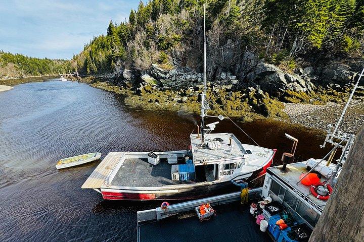 Bay Of Fundy Guided Tour