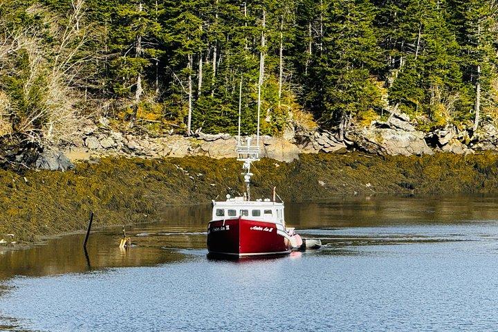Bay Of Fundy Guided Tour