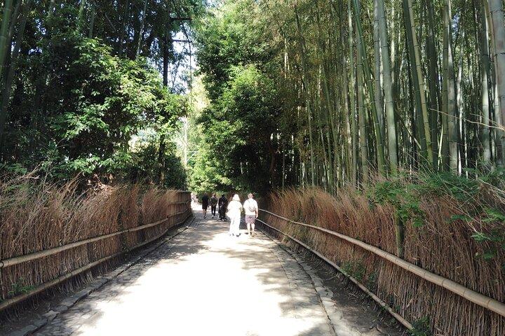 京都： 嵐山竹林のセレネ朝散歩