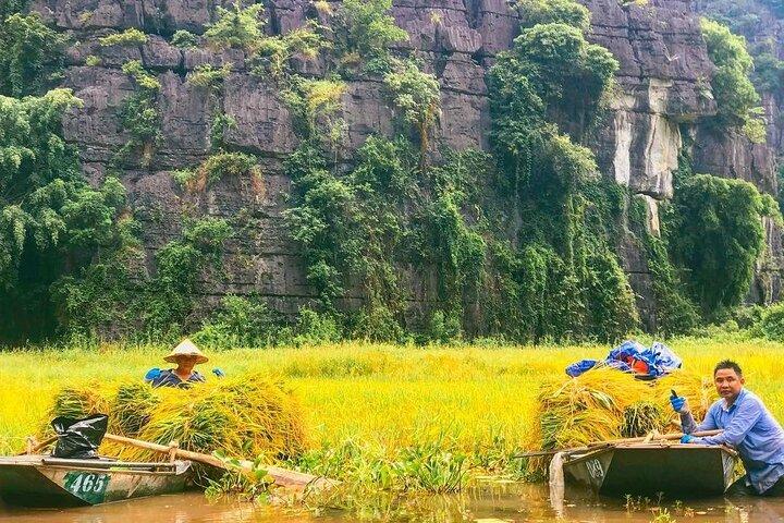 Hoa Lu- Trang An Boat Trip- Mua Cave Day Tour